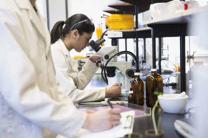 Top-Paying Jobs in the Major Pharmaceuticals Industry